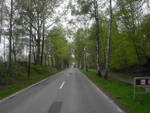 Buchholz 2010 087